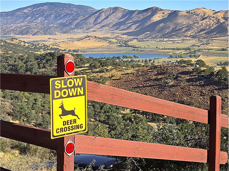 It's true, you'll own the 1.05 acres beyond this sign, but...