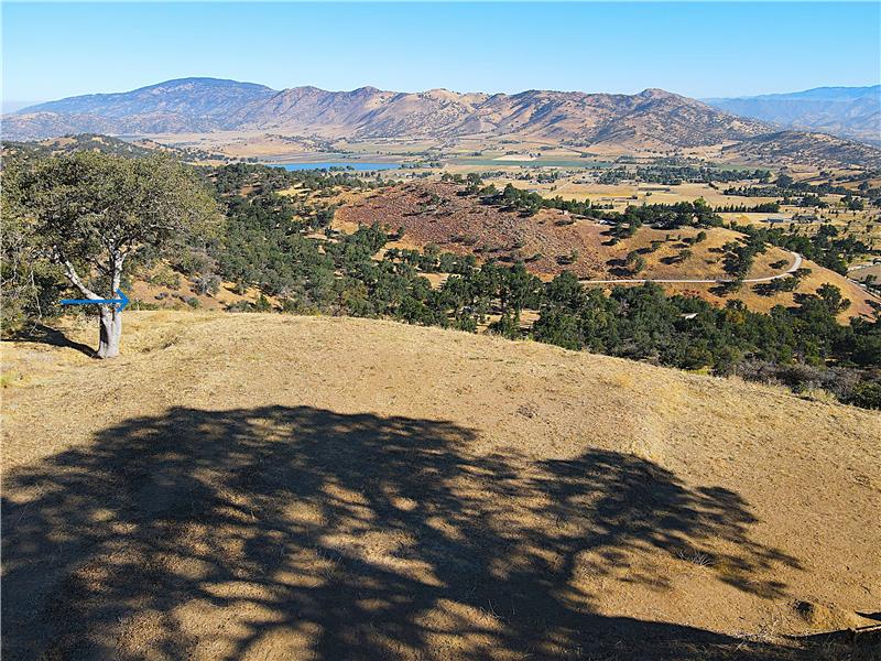 Property marker at hillside edge. The trunk of that great tree is just on the neighbors side.