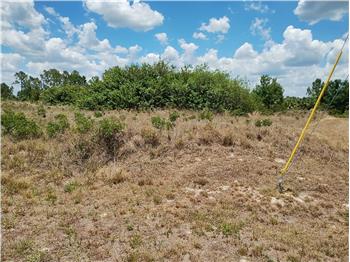 Primary listing photos for listing ID 642419