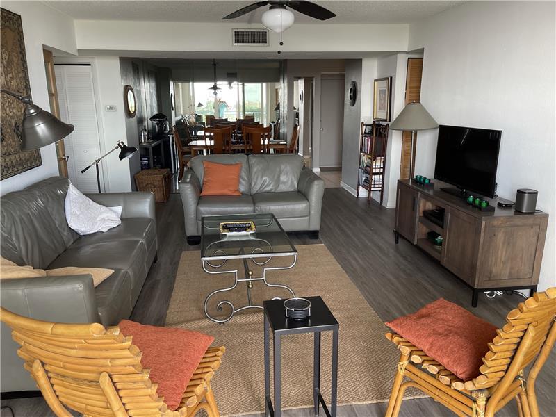 Living / Dining area combo