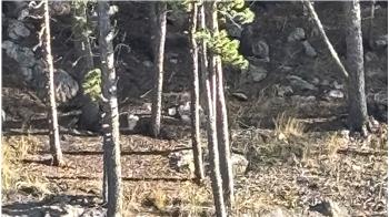 Primary listing photos for listing ID 635163