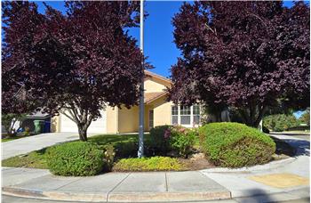 Framed by mature ornamental plum trees, home enjoys a distinguished streetscape presence rarely found in todays neighborhoods.
