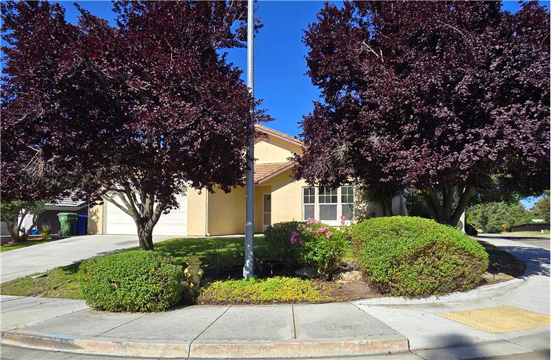 Framed by mature ornamental plum trees, home enjoys a distinguished streetscape presence rarely found in todays neighborhoods.