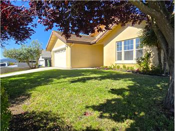 The deep burgundy/purple canopy provides the corner lot landscaping presence from multiple angles.