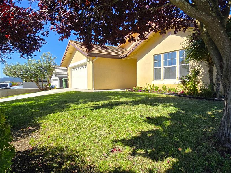 The deep burgundy/purple canopy provides the corner lot landscaping presence from multiple angles.