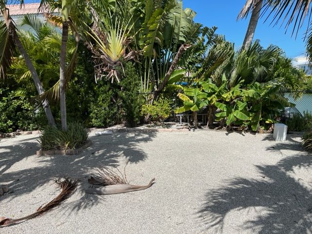 North part of lot with fruit trees