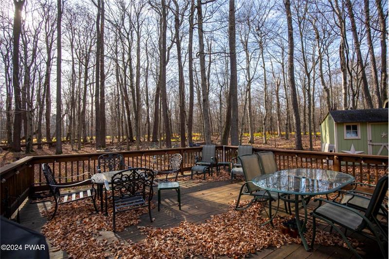 Expansive Back Deck