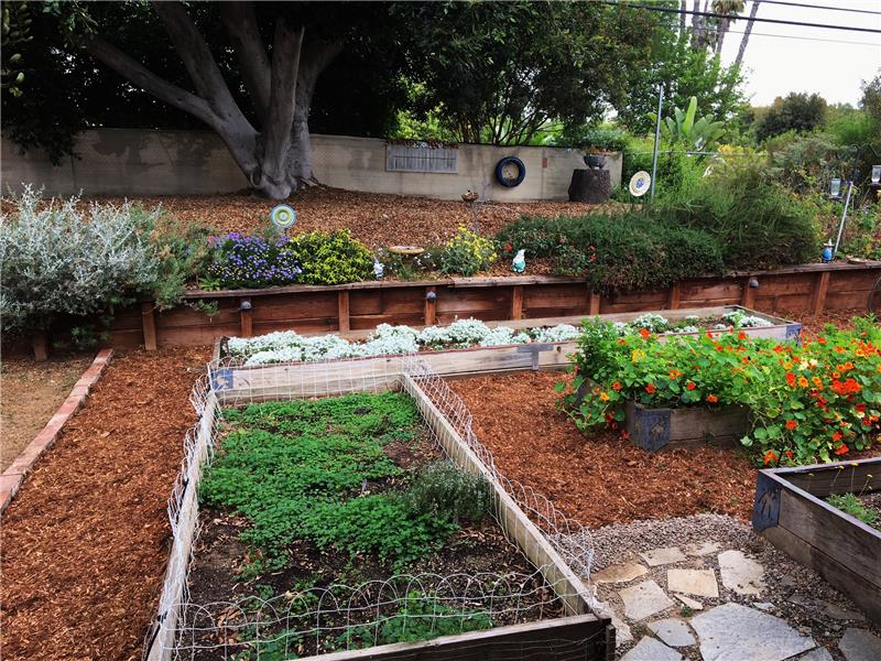 Front yard raised bed gardens