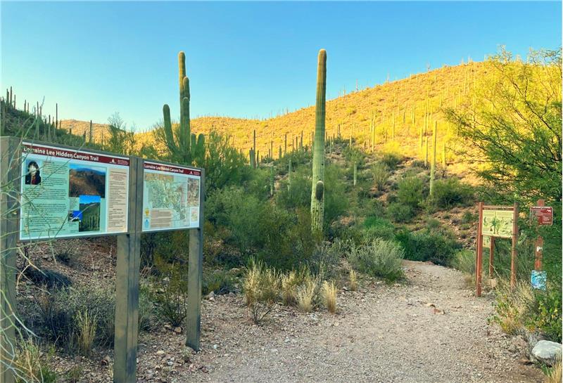 Nearby Hiking at Starr Pass