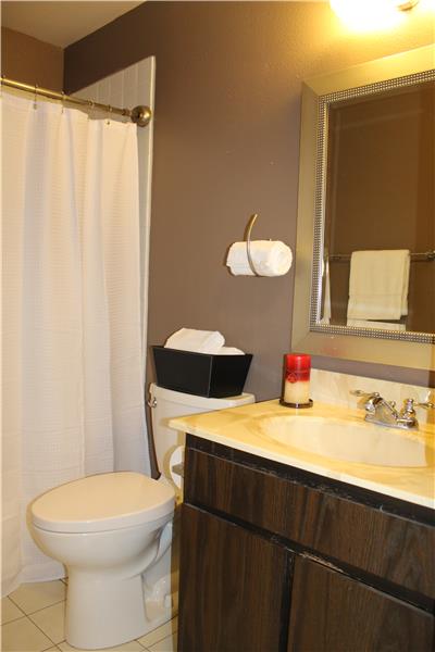 Hall Bathroom - Shower Over Tub