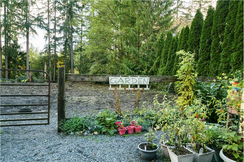 Garden area with horse pasture in backdrop.