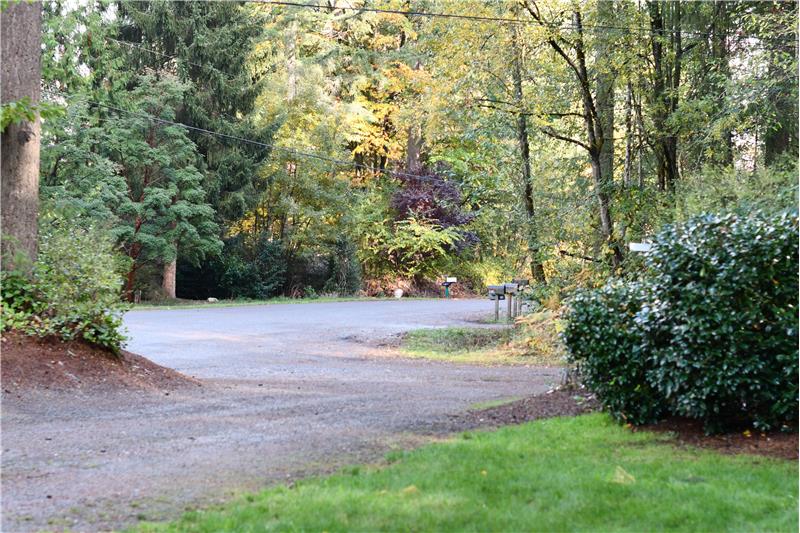 Driveway/street scene as seen from the house.