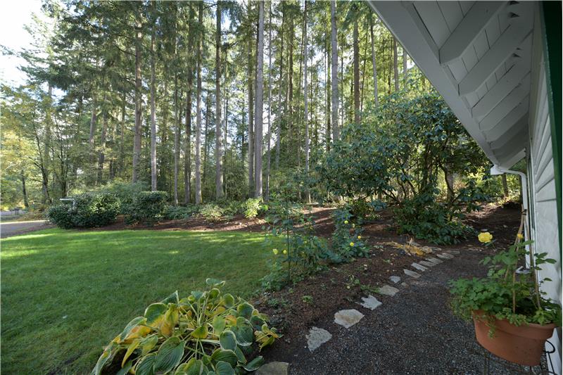 Front of yard as seen from front of the house.
