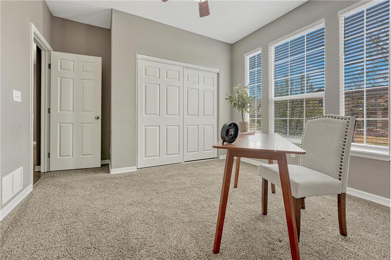 Main Level Bedroom #2 with wall of windows and generous closet.