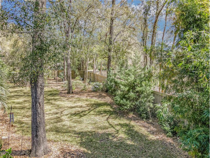 Large Back Yard