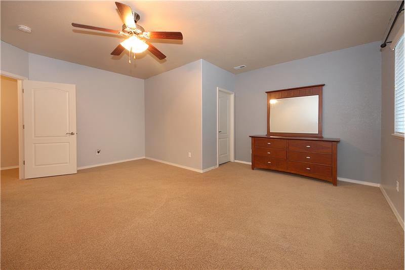 Spacious bedroom 4 in basement with ceiling fan and large walk-in closet