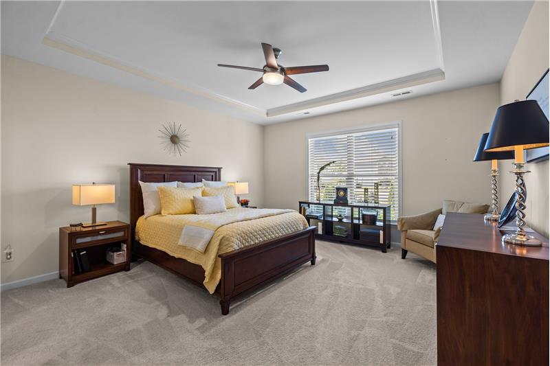 Main floor owner's suite with trey ceiling