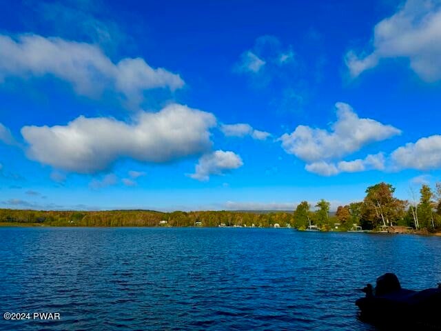 Close to Lake Henry