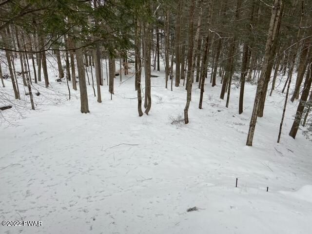 Back Yard Green Space