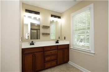 Dual Sink Vanity