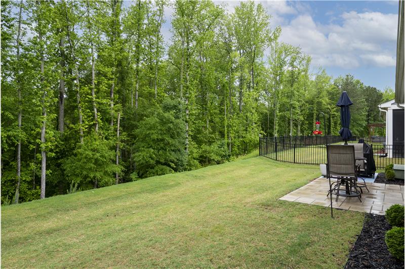 Lusg green lawn overlooks tree line