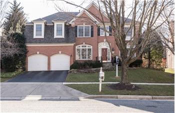 Primary listing photos for listing ID 537490