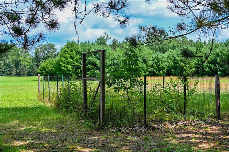 
                            Property Image 167