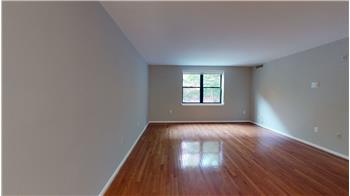 Primary listing photos for listing ID 598651