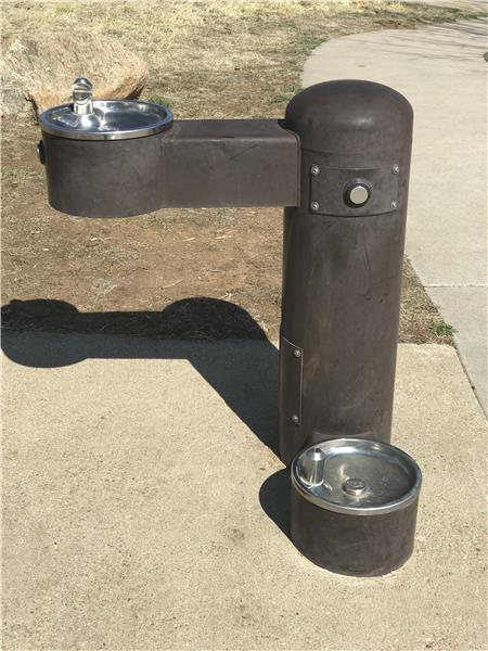The water fountain serves dogs, too!
