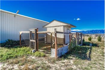 Rear view of chicken house and runs.