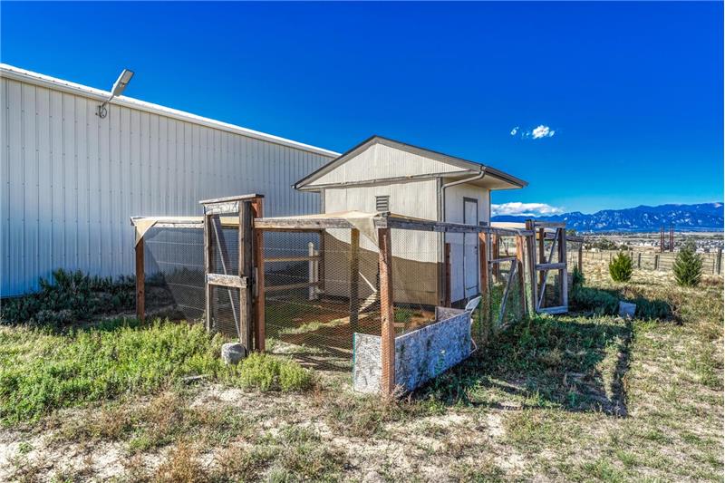 Rear view of chicken house and runs.