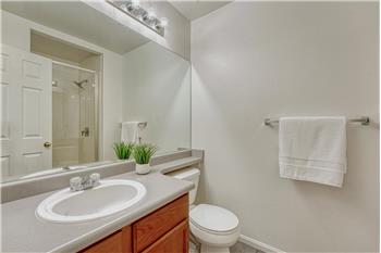 Primary Shower Bathroom with vanity, mirror, and tiled shower.