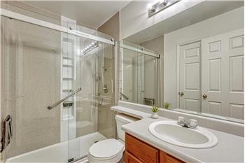 Shower Bathroom with vanity, mirror, and tiled shower.