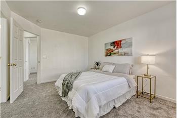 The Primary Bedroom offers a generous walk in closet and adjoining Shower Bathroom.