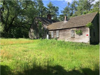 Primary listing photos for listing ID 542109