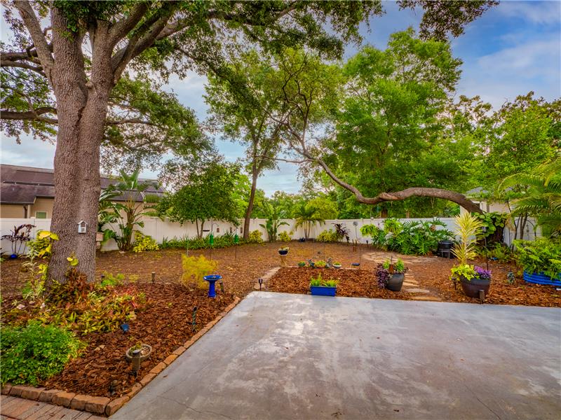 Patio and Backyard View