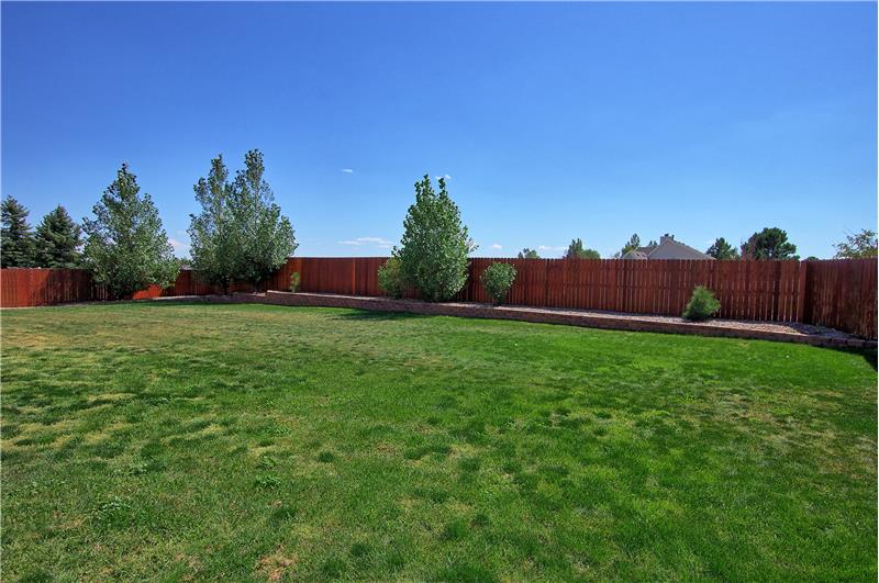 Fenced and landscaped backyard