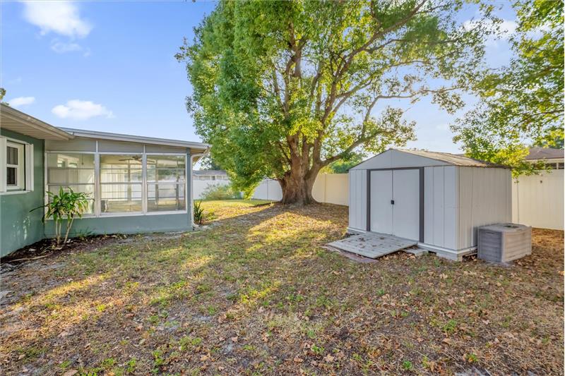 Backyard With Shed