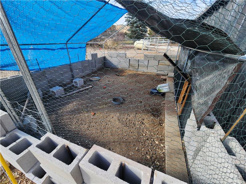 Chicken coop with protective blocks