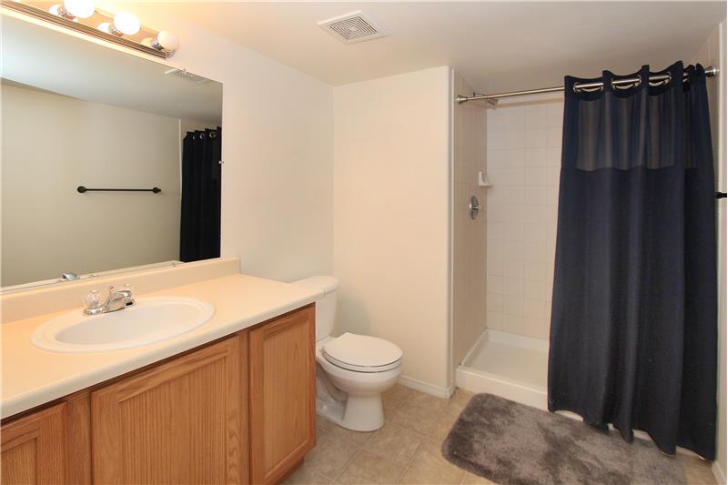 3/4 bath in basement with medicine cabinet