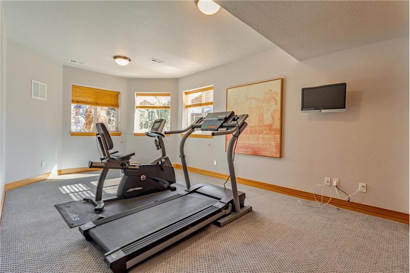 Guest bedroom #3 in basement used as workout room