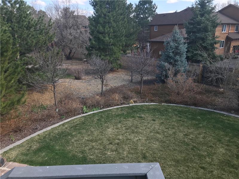 Back yard viewed from covered deck