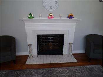 Wood burning fireplace in living room