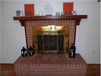 Wood burning fireplace in den