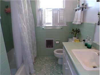 Tub/shower in main bath
