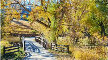 Kinney Trail Bridge (A Nearby walk)