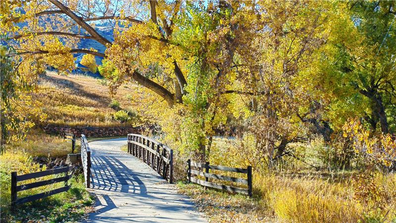 Kinney Trail Bridge (A Nearby walk)