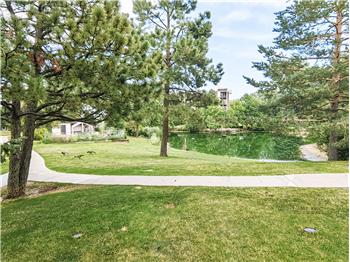 Pond and Picnic area behind Building-10