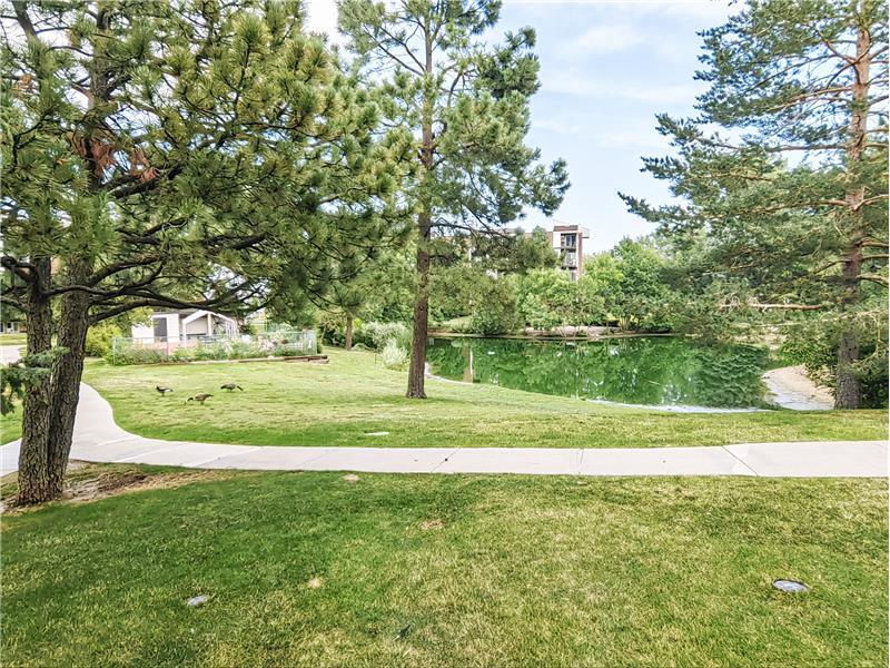Pond and Picnic area behind Building-10
