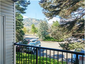 Balcony View to Front Range Surrounded by Evegreen Trees